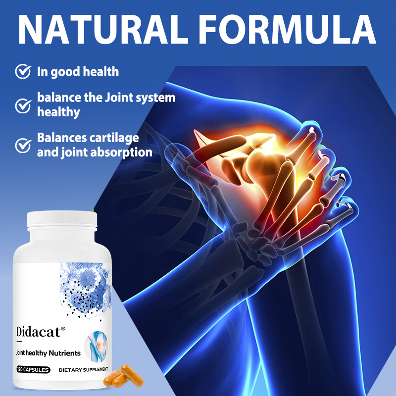 Glukozamin Kondroitin MSM ve Z - Glucosamine Chondroitin Joint incelemesi ve fiyatı